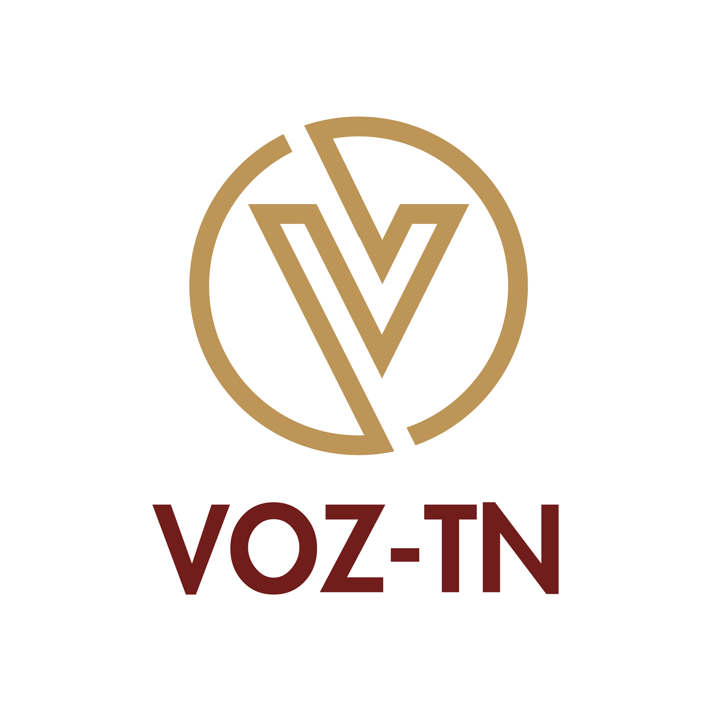 voztn.net